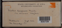 Image Associated With the Occurence